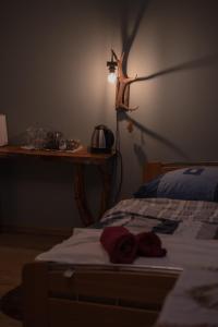 KurBrauksim Windau Rooms