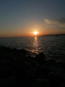 Zöld Liget Vendégház