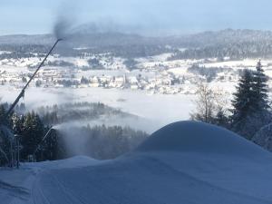 O Doubs Chalets : photos des chambres