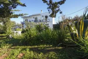 La Casa di Marta - Faccia di Trippa