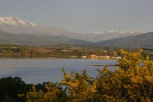 Appartements Appartement 8 pers. - Domaine de Padulone ALERIA : photos des chambres