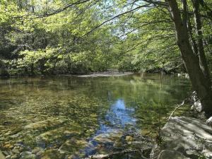 Maisons de vacances Gite Castagnere 4* en Cevennes : photos des chambres