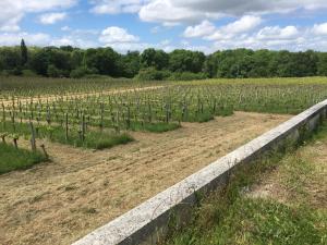 Maisons de vacances Dom Peyreton Prestige cottages set in a charming wine property : photos des chambres