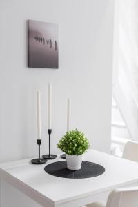 The right choice studio apartments