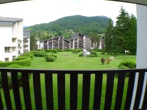 2 pièces cabine lumineux, proche centre Samoëns, animaux acceptés, parking, balcon - FR-1-629-22