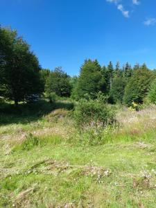 casa a 13km de coyhaique camino lago atravesado últimos 300 metros para vehículos 4x4