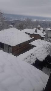 Къща за гости Близнаците