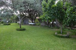 Giardino degli Ulivi img23