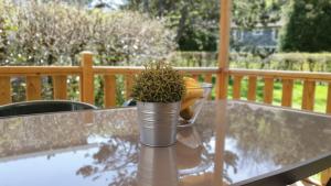 Campings Camping Les Vernieres La Bourboule Sancy : photos des chambres