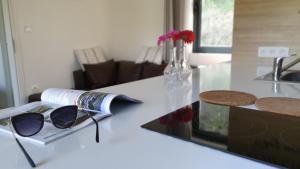 Campings Camping Les Vernieres La Bourboule Sancy : Chalet Supérieur