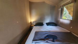 Campings Camping Les Vernieres La Bourboule Sancy : photos des chambres