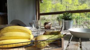 Campings Camping Les Vernieres La Bourboule Sancy : photos des chambres