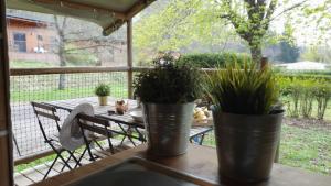 Campings Camping Les Vernieres La Bourboule Sancy : Chalet 2 Chambres