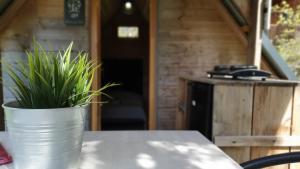 Campings Camping Les Vernieres La Bourboule Sancy : photos des chambres