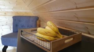 Campings Camping Les Vernieres La Bourboule Sancy : photos des chambres