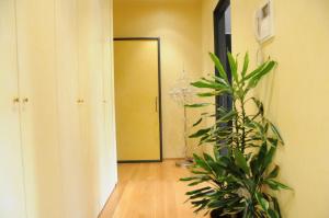 Appartamento con Bagno in Comune