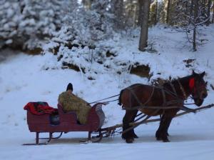 Casa Calea Haiducilor