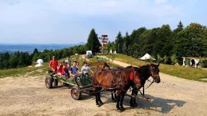 Casa Calea Haiducilor