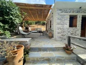 Chelidonofolia - Thriptí