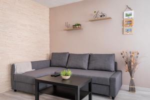 Appartements Le Lys - Wifi - 10 min centre ville : photos des chambres