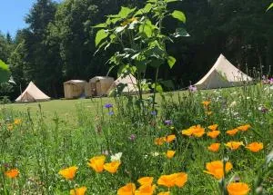 Au Pré Fleuri Eco Glamping - Rouzède