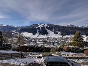 Appartement lumineux avec vue, pour 4 personnes à Morzine - FR-1-524-75