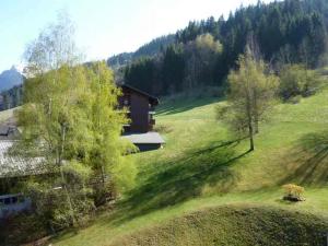 Bel appartement au pied du Pleney pour 45 pers. à Morzine, parking dispo - FR-1-524-94