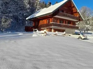 Chalet calme avec cheminée, 4 chambres, idéal famille - FR-1-692-21 - Абонданс