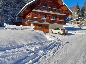 Chalets Chalet Abondance, 6 pieces, 8 personnes - FR-1-692-21 : photos des chambres