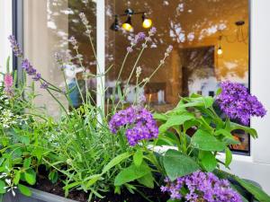 Apartment Südwind - Beautiful premium apartment with 2 bedrooms near Rhine Falls & Zurich Airport in Klettgau