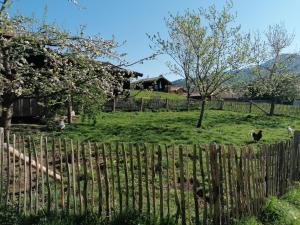 Matheishof inkl. Chiemgaukarte