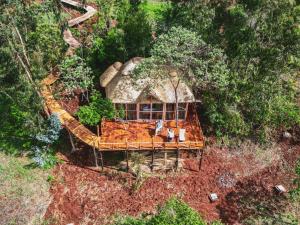 Foresight Eco Lodge & Safari