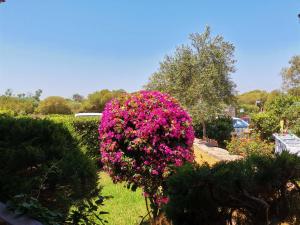 Casa di Giò - Bilocale con giardino