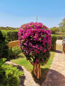 Casa di Giò - Bilocale con giardino img6