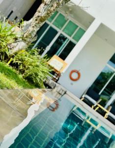 White Lotus by Oxygen at Bang Tao Beach