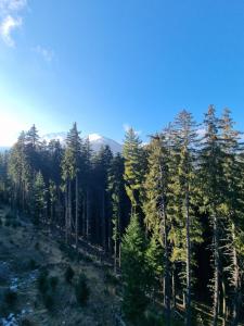 Bansko Royal Towers apartment 200m from skilift