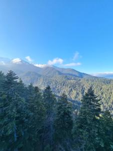 Bansko Royal Towers apartment 200m from skilift