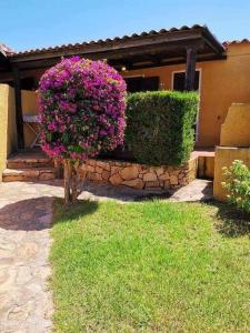 Casa di Giò - Bilocale con giardino