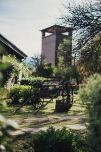 El Jarillal - Luyaba