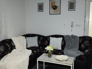 Apartman Raj
