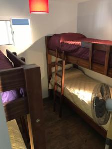 Lapacho Hostel Salta Coliving