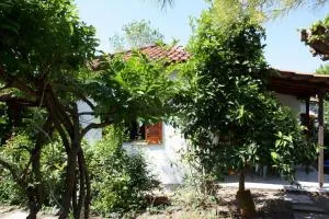 Nikos 3 - Kakóvatos