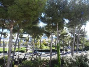 Appartement spacieux à Hyères avec piscine, climatisation et Wi-Fi - FR-1-335-156