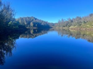 Forest Gate family only