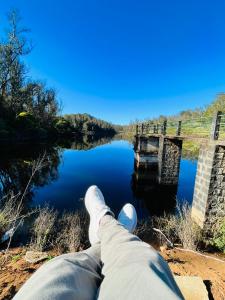 Forest Gate only family