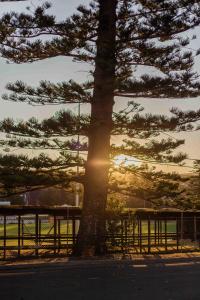 Driftwood Beach House