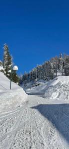 Haus Heidi Apartment Bergblick