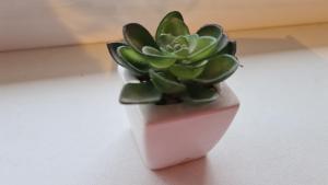 J&E NERIES Apartment IV