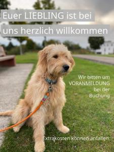 FeWo TIMON großzügig modern mit Terrasse ca 50 qm