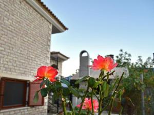 ΤΟ ΠΕΤΡΙΝΟ - Καλοκαιρινό Σπίτι κοντά στα Σύβοτα - ΦΑΣΚΟΜΗΛΙΑ